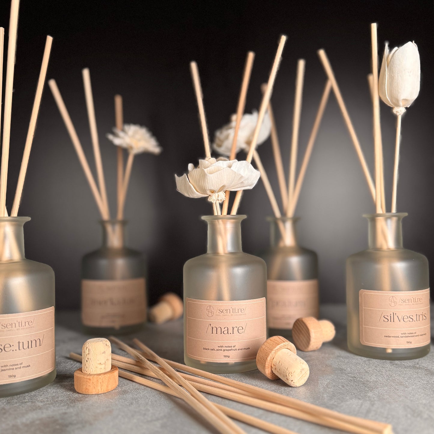 Reed Diffusers - Collection